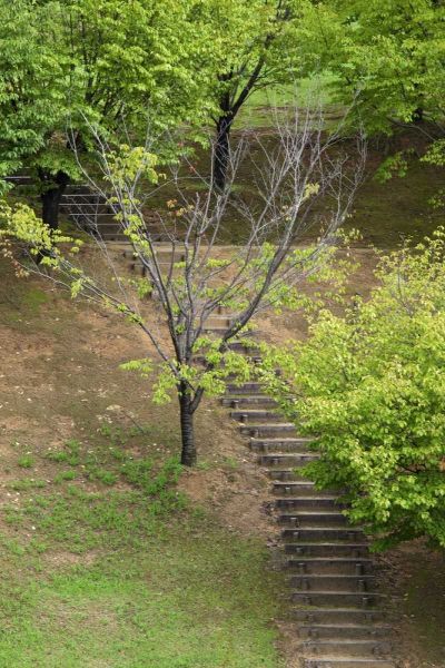 Flaherty, Dennis 아티스트의 Asia, Japan, Heguri-cho Stairway in a park작품입니다.